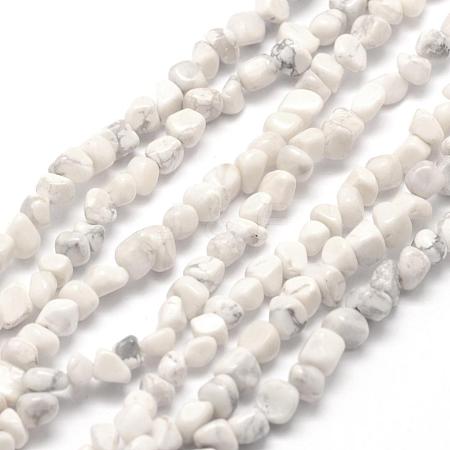 Natural Howlite Beads Strands G-F465-05-1