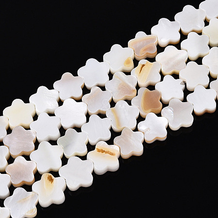 Natural Freshwater Shell Beads Strands SHEL-S276-111A-1