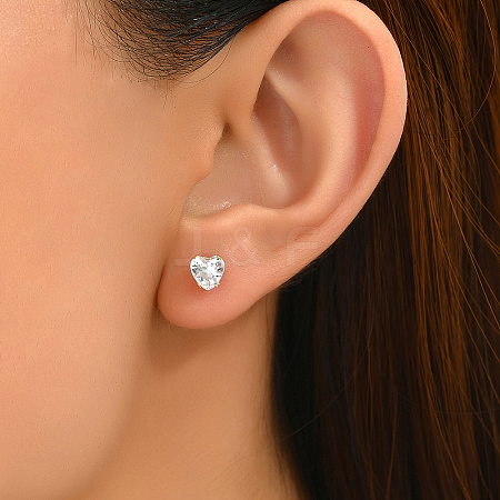 Elegant Crystal Zircon Stainless Steel Women's Earrings FO1341-1