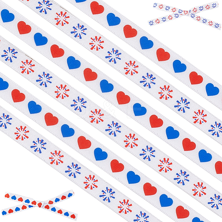 2 Rolls 2 Styles Independence Day Themes Polyester Ribbon OCOR-GF0004-50C-1