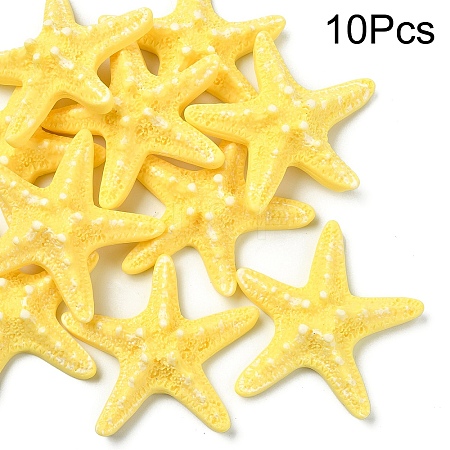 10Pcs Resin Decoden Cabochons CRES-YW0001-42C-1