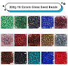  300g 15 Colors Glass Seed Beads SEED-NB0001-30-4