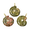 Natural & Synthetic Mixed Stone Carved Pendants G-C282-01-2
