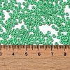 Baking Paint Glass Seed Beads SEED-P006-03A-23-4