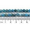 Natural Apatite Beads Strands G-J400-E01-04-4