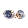 Natural Blue Spot Jasper Pendants G-N359-18G-06-2