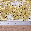 MIYUKI Delica Beads SEED-X0054-DB0042-4