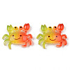 Rainbow Resin Cabochons LS-X-CRES-N024-40-1