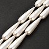 Electroplate Shell Pearl Beads Strands BSHE-G010-8x31mm-01-2