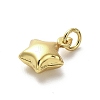 925 Sterling Silver Pendants LS-STER-P057-06G-2