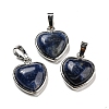 Natural Sodalite Pendants G-I358-A25-1