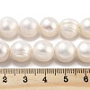 Natural Cultured Freshwater Pearl Beads Strands PEAR-C003-21C-5