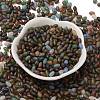 Transparent Colours Glass Seed Beads X-SEED-F006-03A-03-2