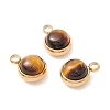 Natural Tiger Eye Charms G-K325-01G-01-1