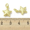 Rack Plating Brass Pendants FIND-Z024-05G-3
