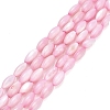 Natural Freshwater Shell Beads Strands SHEL-C010-01E-1