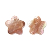 Sea Shell Pendants SSHEL-C008-13-2