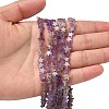 Natural Amethyst Beads Strands G-F817-A15-01-2