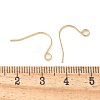 316 Surgical Stainless Steel Earring Hooks STAS-Z124-02C-G-3