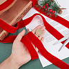 Velvet Ribbon SRIB-WH0006-18O-3