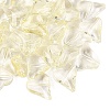 Transparent Glass Beads DGLA-N022-01-2