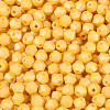 Baking Paint Pearlized Glass Seed Beads SEED-T007-21A-04-2