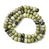 Natural Yellow Turquoise(Jasper) Beads Strands G-B179-A02-6x8mm-3