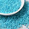 8/0 Transparent Glass Seed Beads SEED-F003-03B-10-1