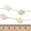 Natural Freshwater Shell Beads Strands SHEL-K006-52B-4