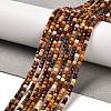 Natural Mookaite Beads Strands G-B107-C03-01-1