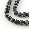 Natural Larvikite Round Beads Strands LS-G-R342-10mm-09-2