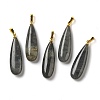 Natural Labradorite Pendants G-Q192-07G-06-1