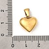 304 Stainless Steel Charms STAS-B094-02A-G-3