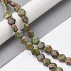 Natural Unakite Beads Strands G-K359-C15-01-2