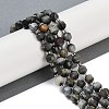 Natural Eagle Eye Stone Beads Strands G-O201B-124G-1