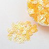 Ornament Accessories Plastic Paillette/Sequins Beads PVC-E001-13-RC02-1