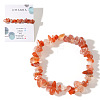 Natural Carnelian Chips Stretch Bracelets for Women AY5330-1-1