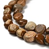 Natural Picture Jasper Beads Strands G-P497-01E-59-4