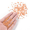 Glass Seed Beads X1-SEED-A012-3mm-130-4