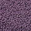 MIYUKI Round Rocailles Beads X-SEED-G009-RR4489-2