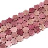 Natural Rhodonite Beads Strands G-N257-24A-09-2