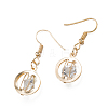 Crystal Rhinestone Dangle Earrings EJEW-BB72421-A-1