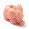 Synthetic Coral Beads FIND-WH0144-23A-1