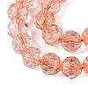 Crackle Transparent Glass Beads Strands GLAA-N068-06A-05-3