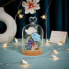 Glass Dome Cover AJEW-WH0604-68D-4