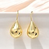 Teardrop Brass Dangle Earrings EJEW-B132-06G-1
