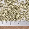 MIYUKI Delica Beads X-SEED-J020-DB1831F-4