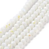 Electroplate Opaque Solid Color Glass Beads Strands LS-EGLA-A044-P3mm-L01-1