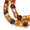 Natural Amber Beads Strands G-K387-E02-01-3