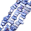 Natural Freshwater Shell Beads Strands SHEL-N026-123G-1